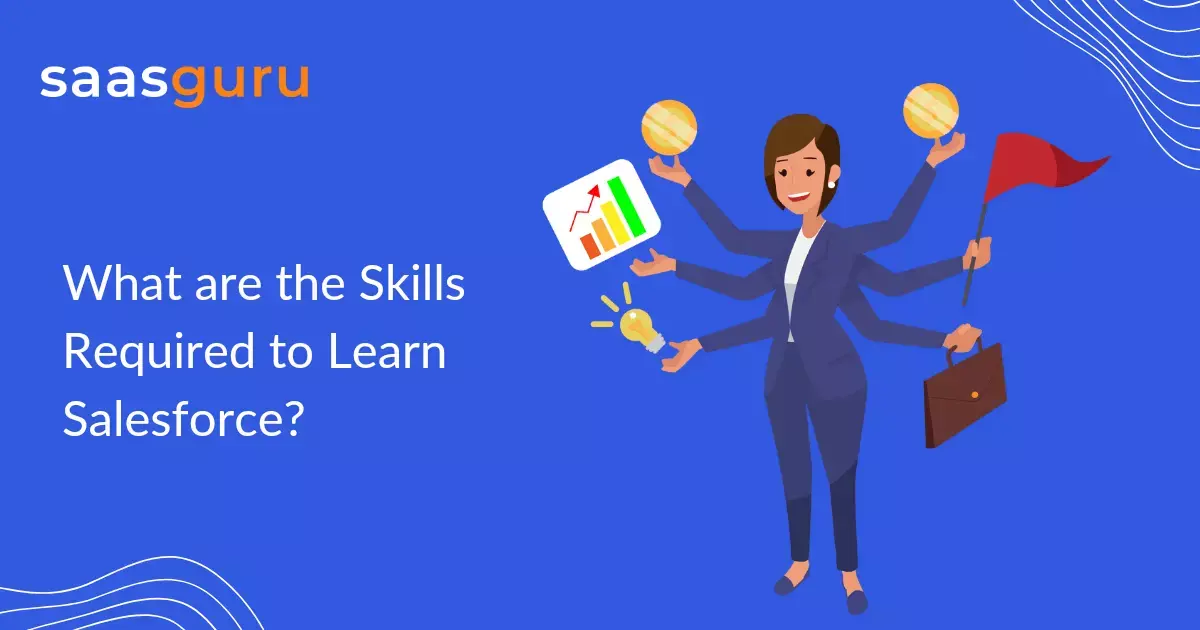 What Are the Skills Required To Learn Salesforce?