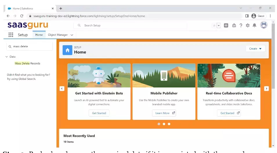 How to Mass Transfer and Delete Records in Salesforce? Blog saasguru